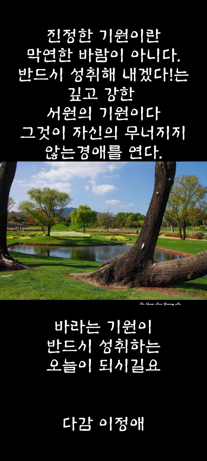 깜짝 선물한 첫눈