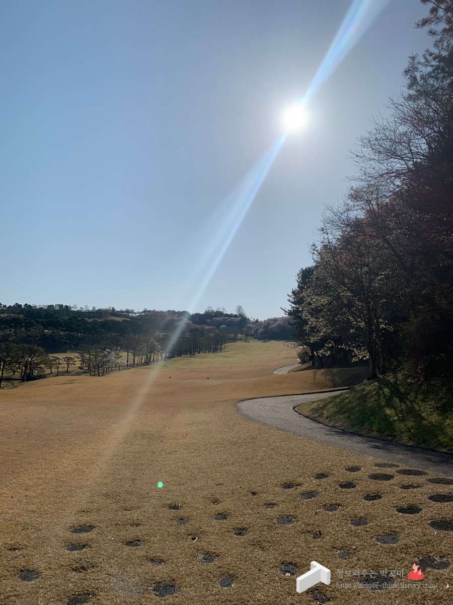 은화삼CC 용인 골프라운드 후기(난이도, 그린피 정보) 8 ywAAAAAAQABAAACAUwAOw==