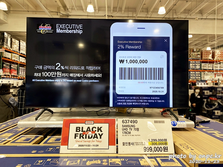 costco s20 fe