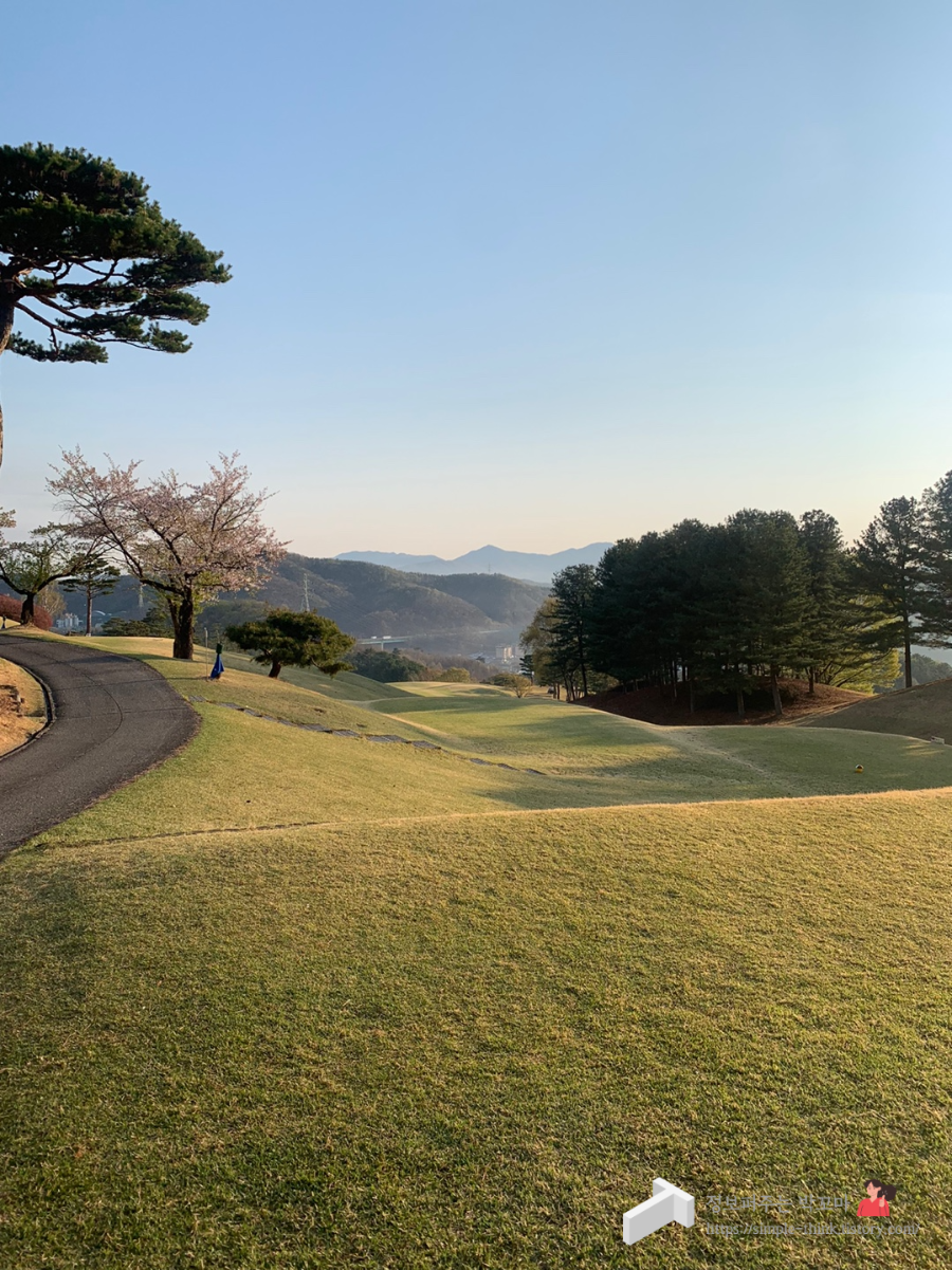 은화삼CC 용인 골프라운드 후기(난이도, 그린피 정보) 2 ywAAAAAAQABAAACAUwAOw==