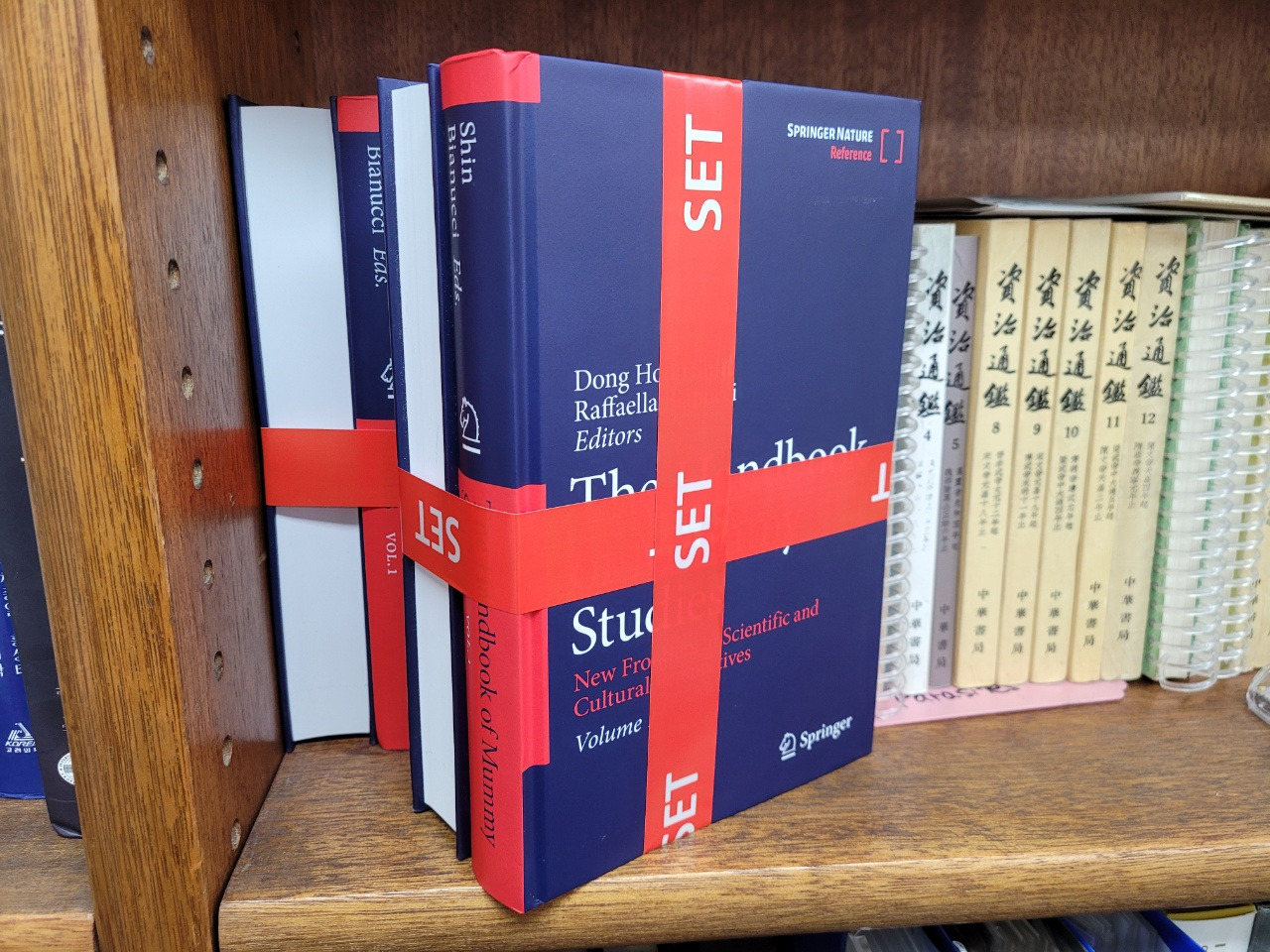 Handbook of Mummy Studies (2021)  by Springer