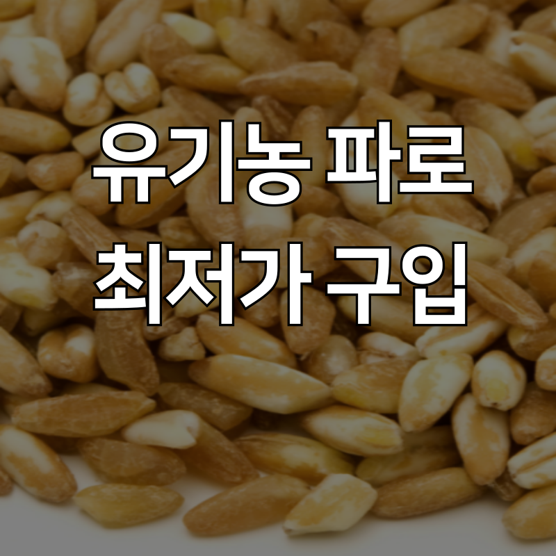 아로스 팝업