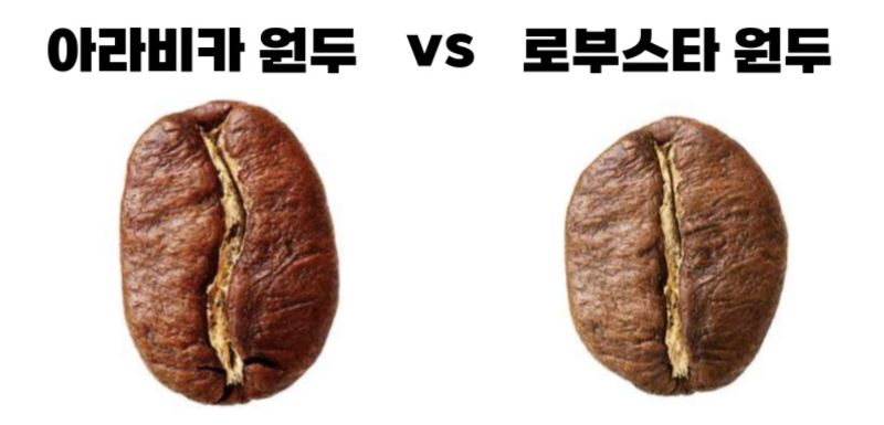 커피원두종류 알아보기 아라비카,로부스타,리베리카