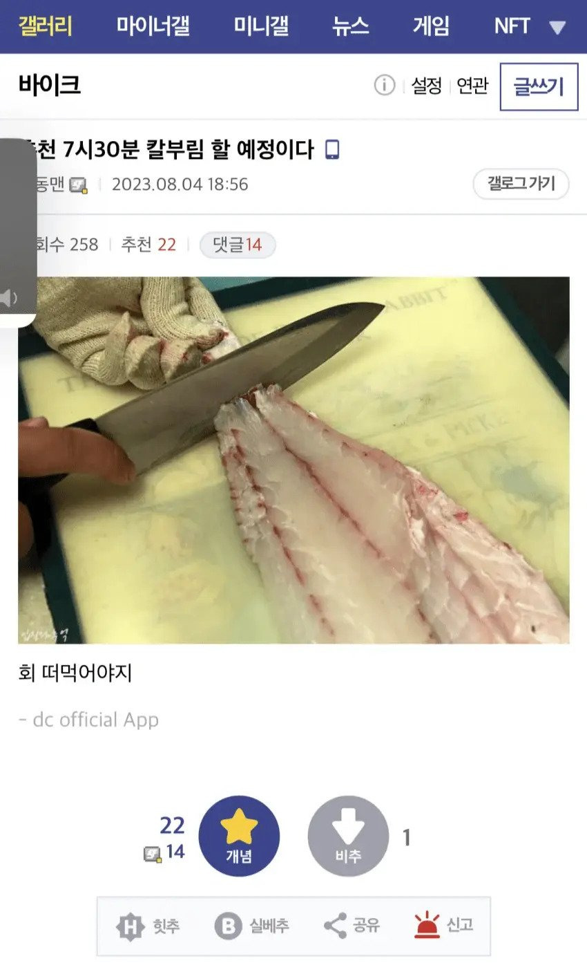 춘천 회칼부림남 근황