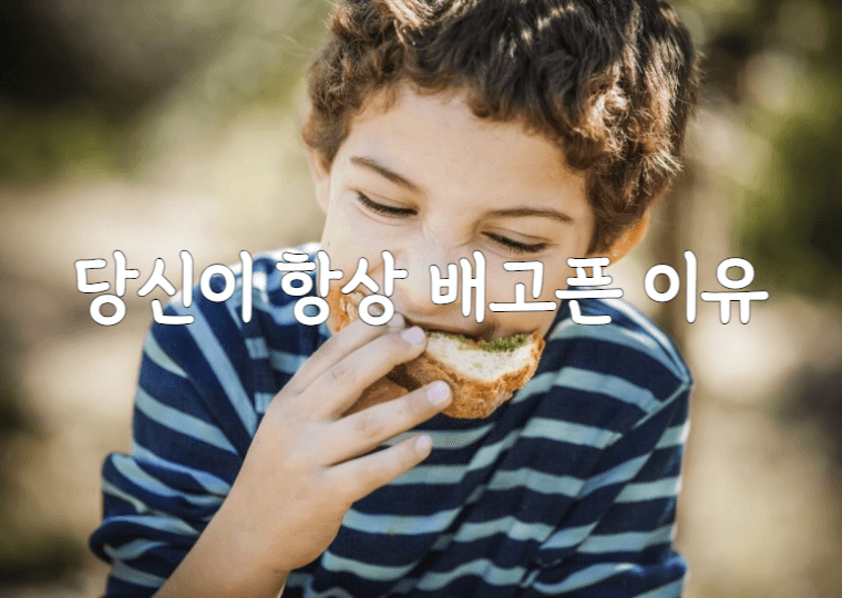 당신이 항상 배가 고픈 이유 1 당신이-항상-배고픈-이유