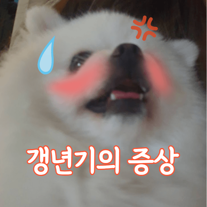 여성의 갱년기에 관한 궁금증 2 갱년기의 증상