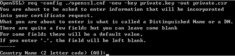 openssl unable to load private key