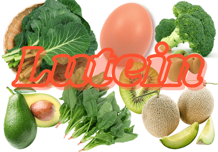 침침한 눈을 위한 눈의 비타민 : 루테인 1 lutein