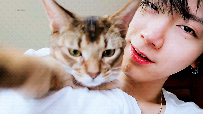 ?scode=mtistory2&fname=https%3A%2F%2Fblo