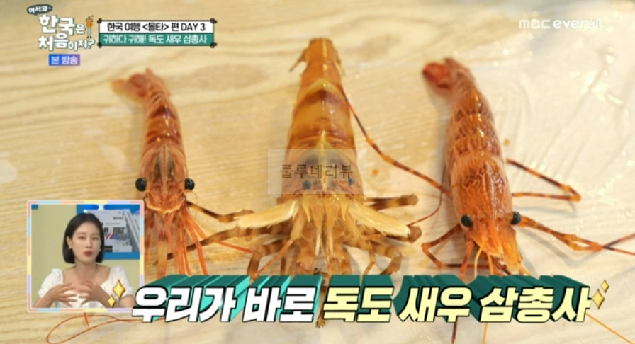 한국은 처음이지 독도 새우 삼총사 먹은 식당 어디? 어서와 울릉도 귀하다 귀해 독도새우 파는 곳 5 ywAAAAAAQABAAACAUwAOw==