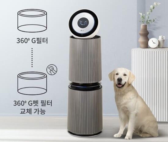 반려동물