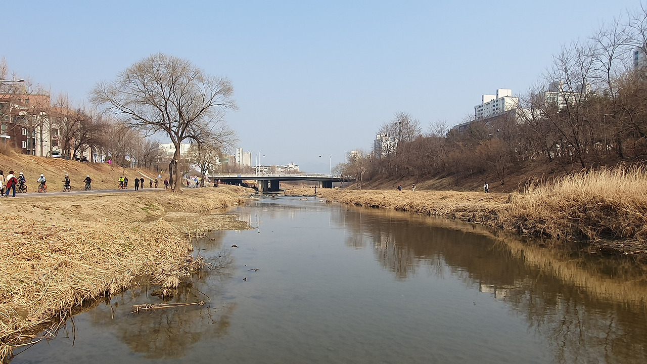 [20230305]봄이 오는 길목에 안양 학의천 풍경