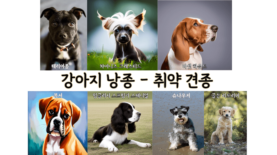 강아지 낭종에 대해 알아야 할 사항 2 ywAAAAAAQABAAACAUwAOw==