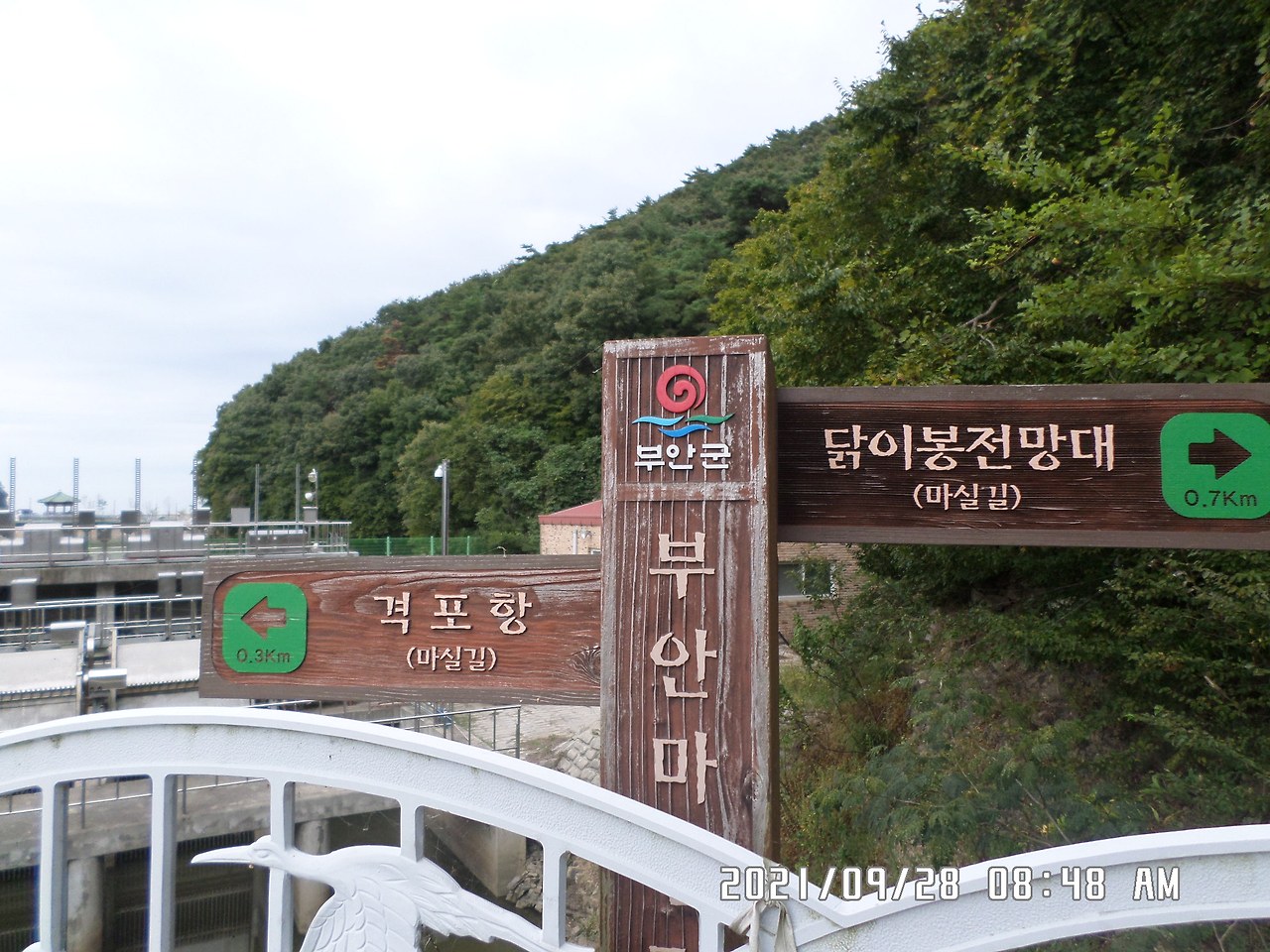 서해랑길 부안 역46코스 격포-세트장-궁항-솔섬-산림수련관-모항