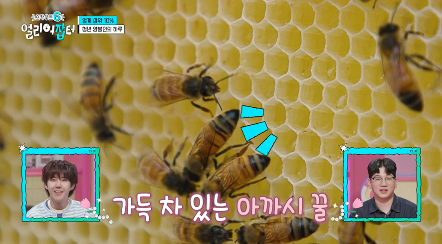옛날이랑 다른 요즘 매출 4억 나온다는 농업.jpg | 인스티즈