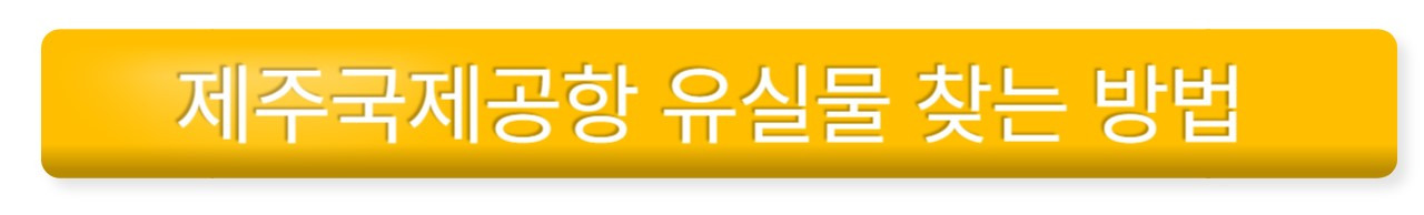 공항에서 물건 잃어버렸을 때 해결 방법 (공항분실물 찾기) 3 ywAAAAAAQABAAACAUwAOw==