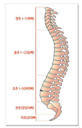 급성요추염좌(허리통증) 치료법 알아보기!