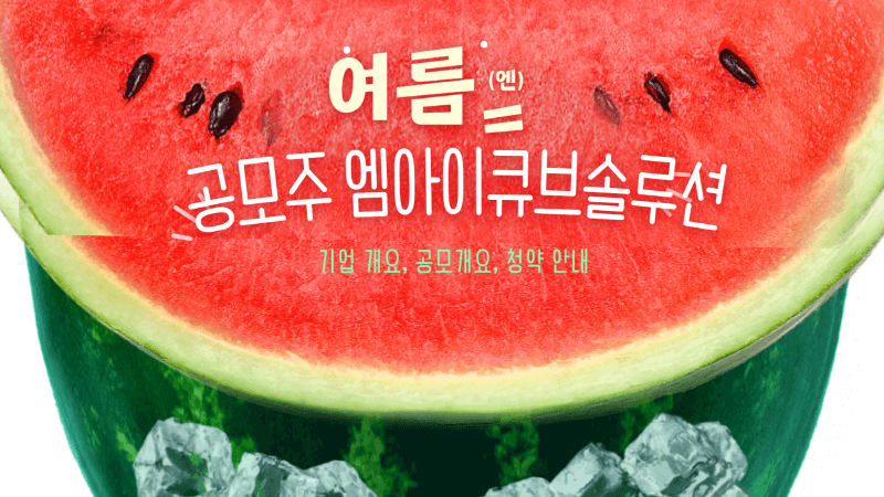 공모주 엠아이큐브솔루션 기업 개요, 공모개요, 청약 안내 1 공모주 엠아이큐브솔루션 청약안내
