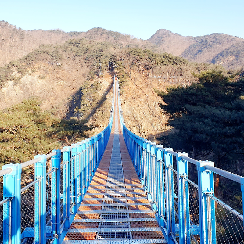 전국 출렁다리 BEST3
