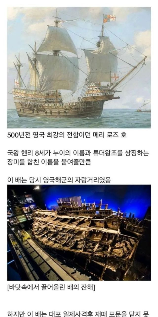 500년 전 침몰선 잔해