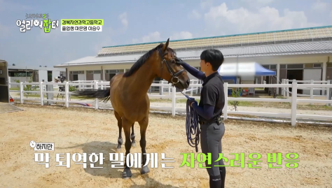 근대 5종 국가대표 전웅태 선수 코치였다는 승마계 오은영 | 인스티즈