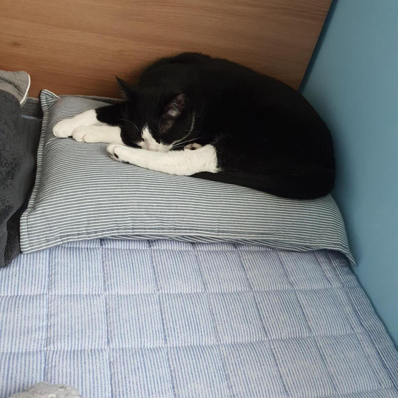 ?scode=mtistory2&fname=https%3A%2F%2Fblo