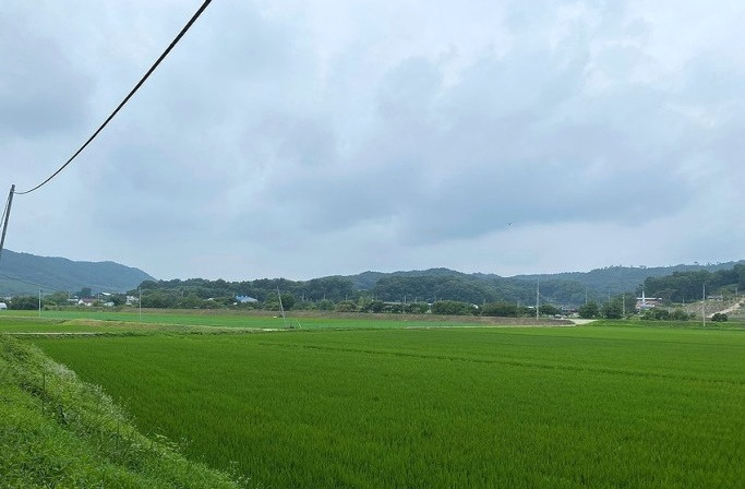 부동산매매업 개인사업자 '토지(농지)양도소득세' 알아보기.. 3 ywAAAAAAQABAAACAUwAOw==