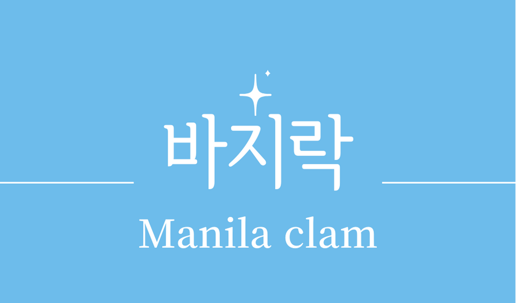'바지락(Manila clam)'효능,효과,영양성분,주의사항,다양한 요리 활용법