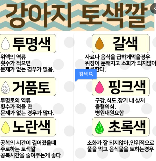 강아지 구토 원인 및 색깔, 설사, 멈추는 방법, 과식 구토, 강아지 공복토