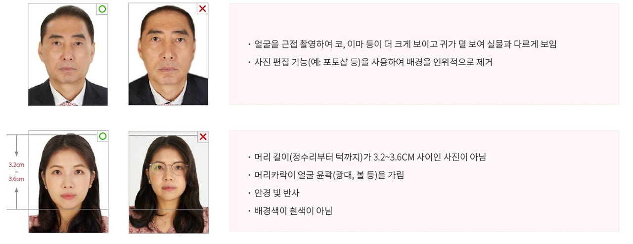 여권사진 규정 (귀 나와야할까?)