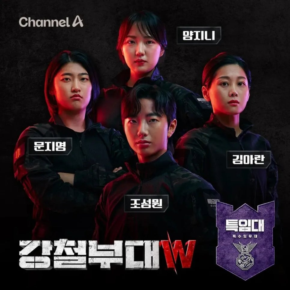 강철부대W 다시보기 여군특집 참여부대 (특임대, 독거미, 특전사, 육군, 해군, 해병대)