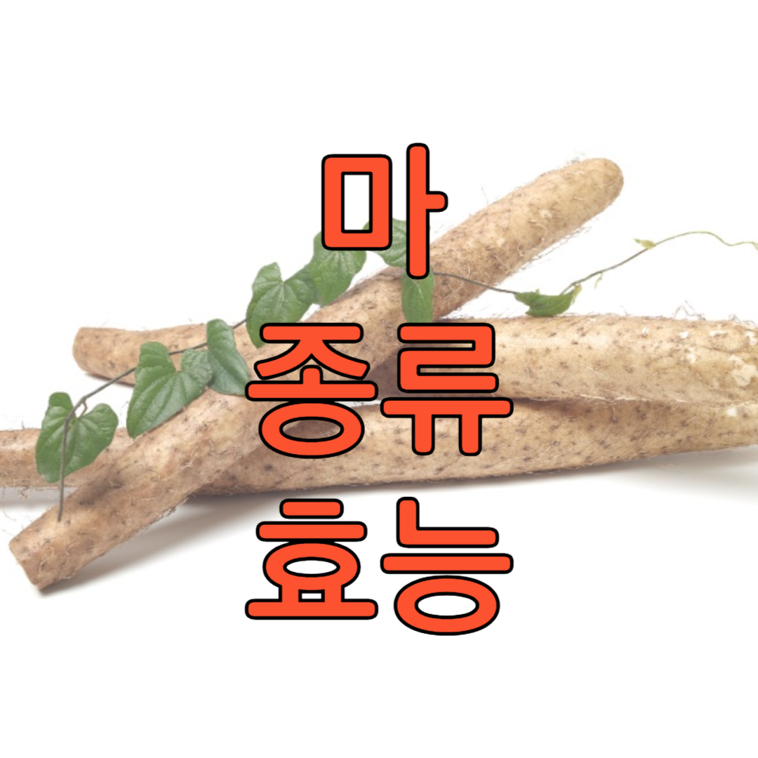 마 종류 재배하는 방법 먹는방법 보관(+효능)
