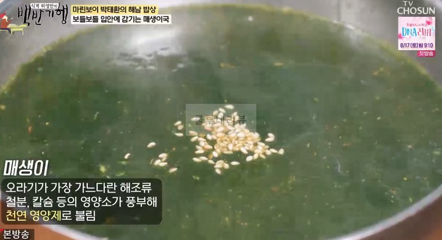 백반기행 박태환 해남 밥상, 해조류 한 상, 해조류 코스, 매생이국, 고구마톳밥 파는 식당 가게 어디? 7 ywAAAAAAQABAAACAUwAOw==