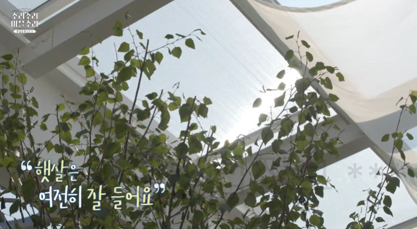 수리수리마을수리 두 번째 집 지붕 뚫고 나란히 '약과 디저트 카페' 촬영지 장소 위치 어디? 7 ywAAAAAAQABAAACAUwAOw==