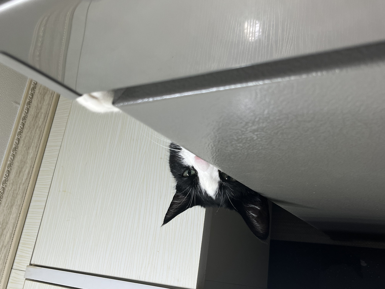 ?scode=mtistory2&fname=https%3A%2F%2Fblo