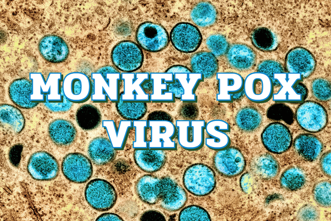 엠폭스(MPOX)의 증상, 알고 예방하자! 1 monkeypox
