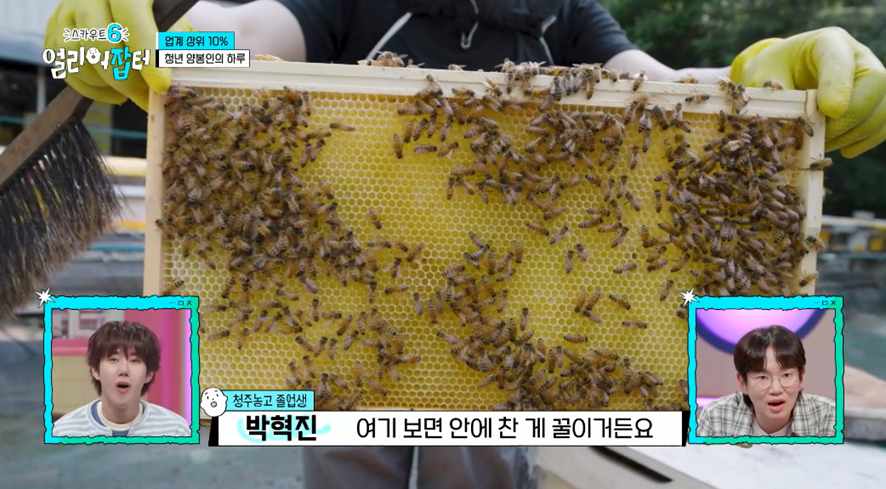 옛날이랑 다른 요즘 매출 4억 나온다는 농업.jpg | 인스티즈