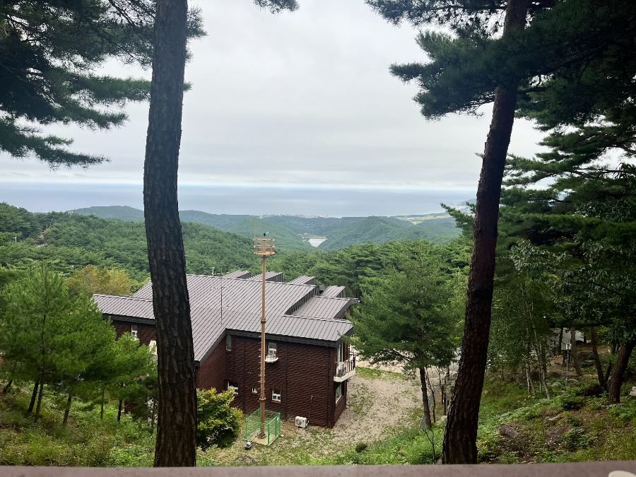 산책로가 고지대라 조망이 좋다