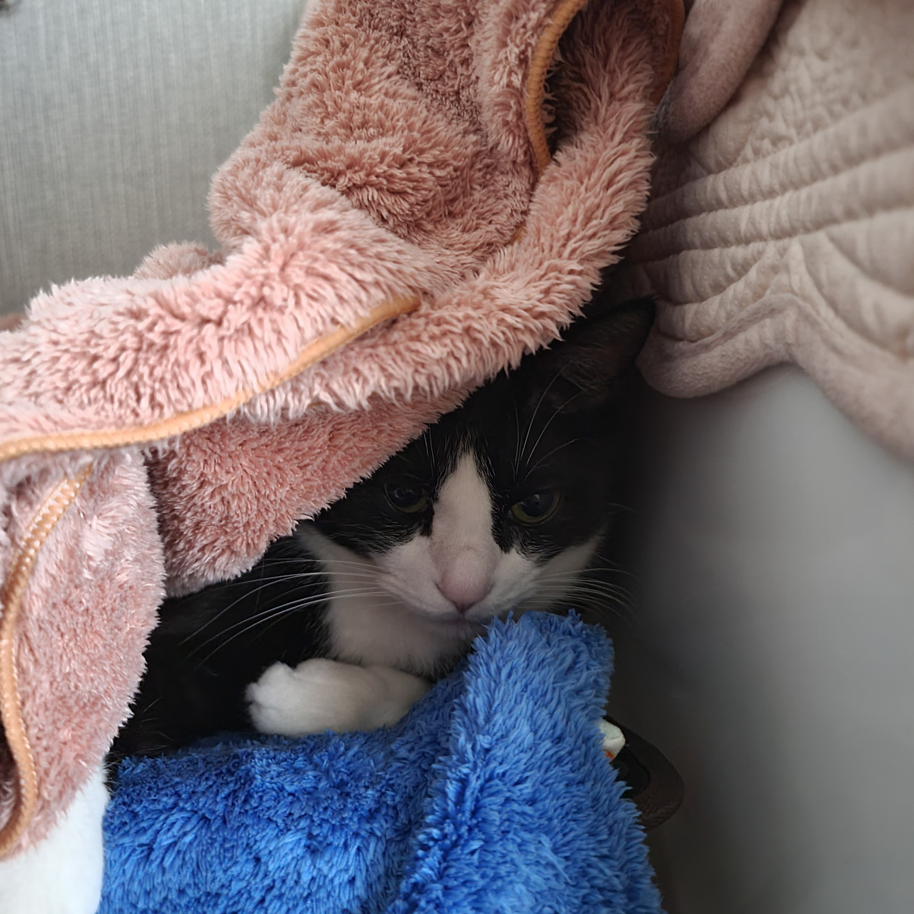 ?scode=mtistory2&fname=https%3A%2F%2Fblo