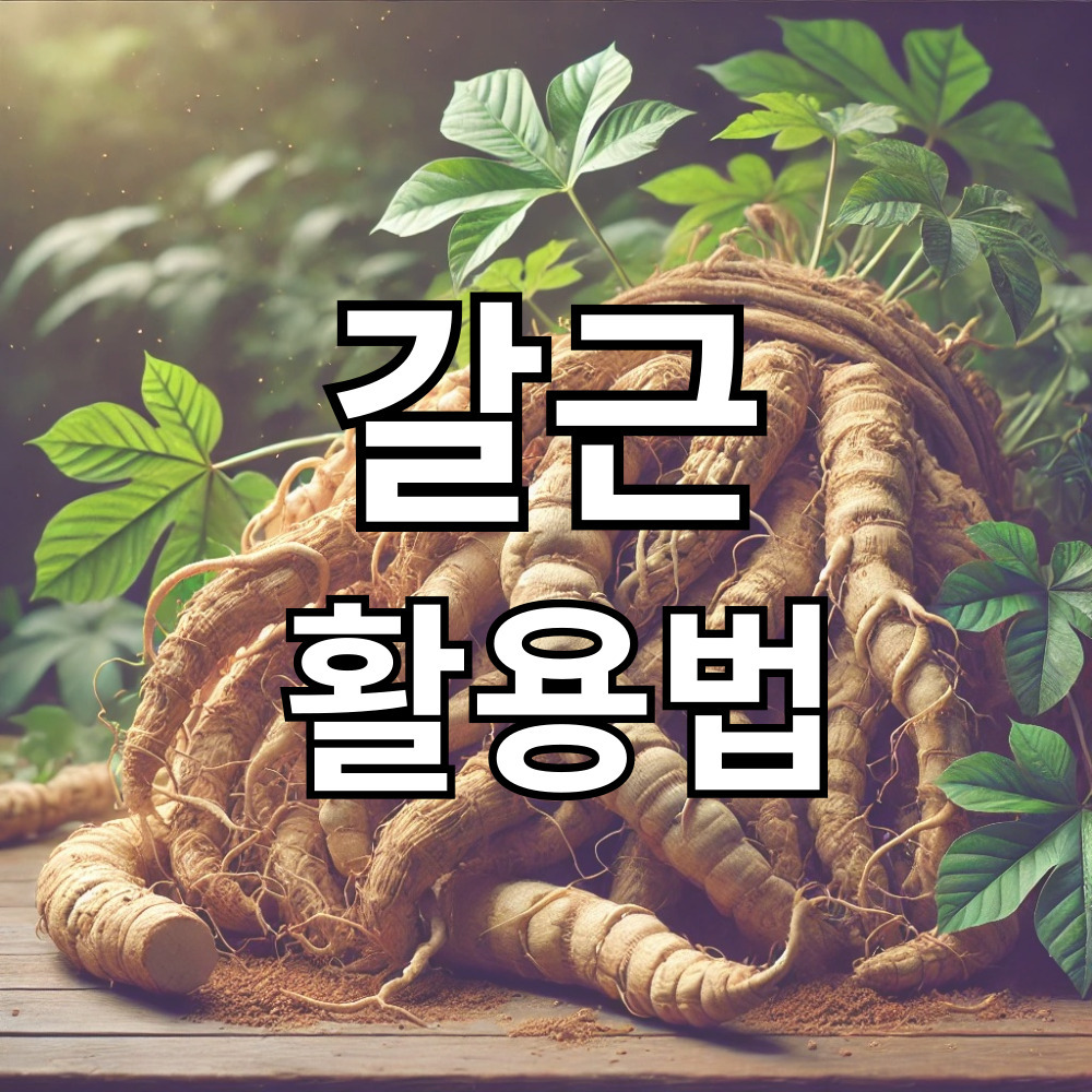 갈근: 한방에서의 효능과 활용법