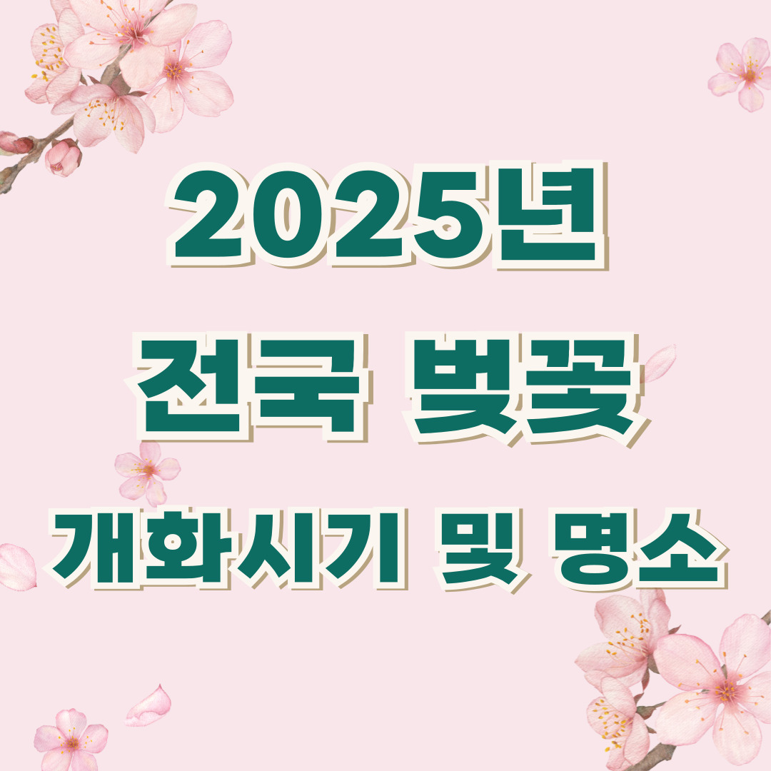 아로스 팝업