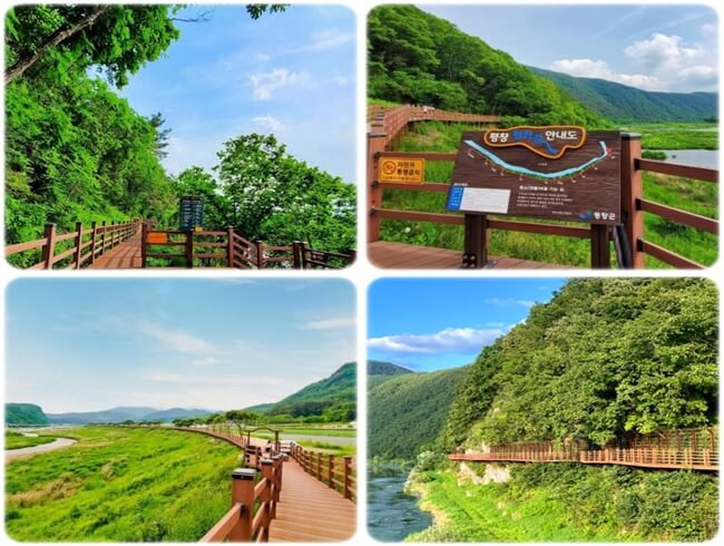 평창 가볼만한곳 평화길