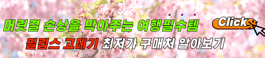 필립스 고데기 후기, 여행 할 때 꼭 챙겨야할 휴대용 고데기 알아보기