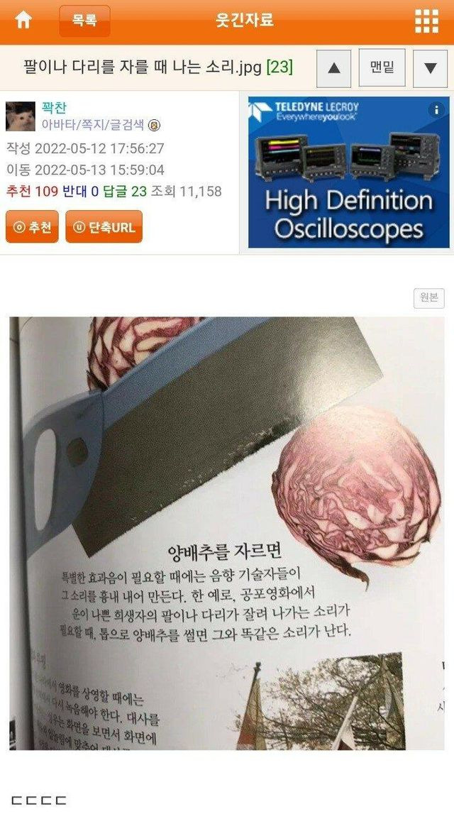 팔다리를 자를때 나는 소리