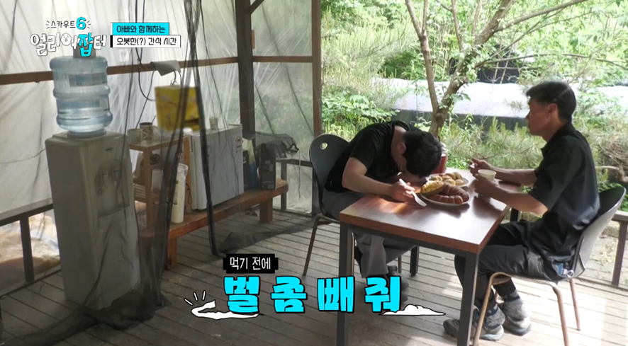 옛날이랑 다른 요즘 매출 4억 나온다는 농업.jpg | 인스티즈