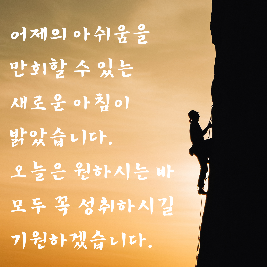 기분 좋은 아침 인사말 이미지 문구 모음