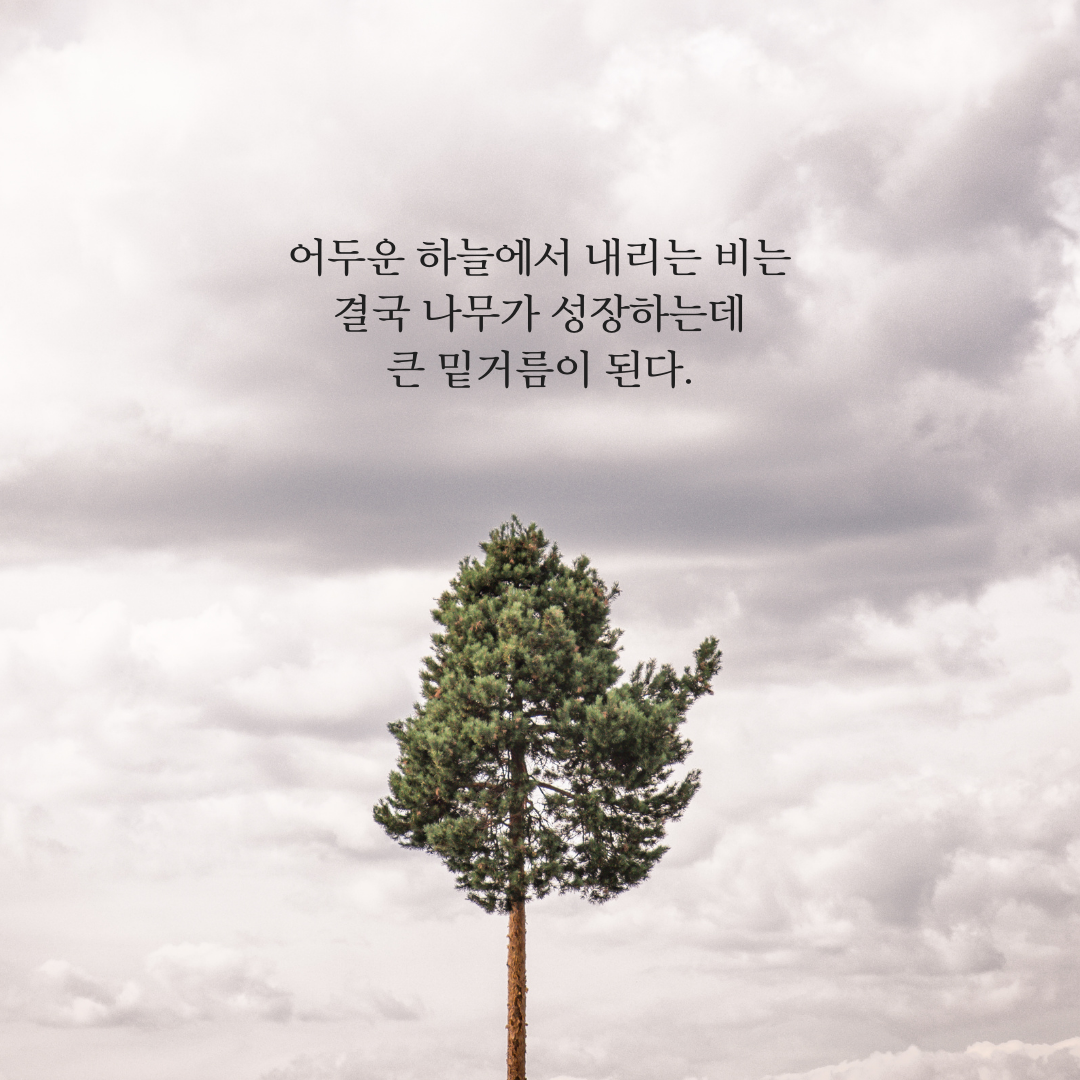 힘이 되는 좋은 글귀 10가지