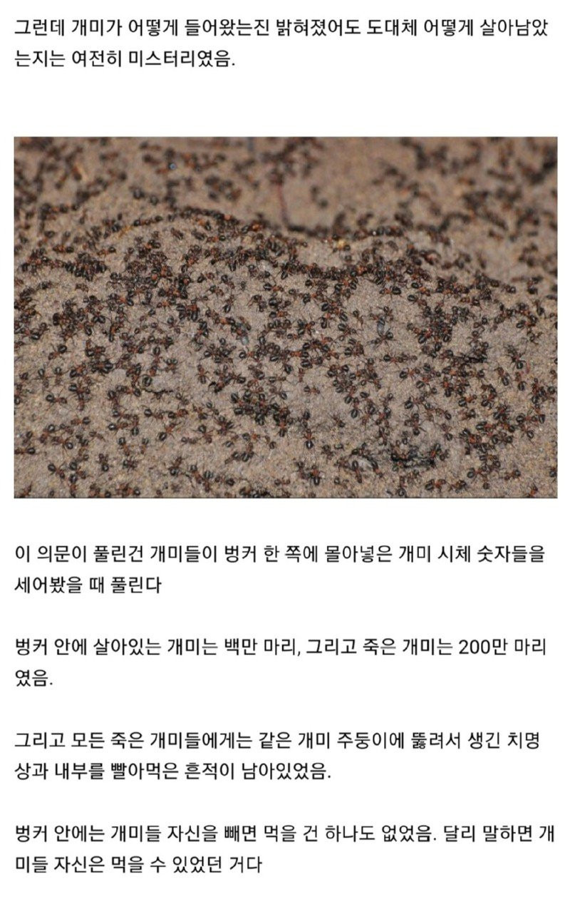 ?scode=mtistory2&fname=https%3A%2F%2Fblog.kakaocdn.net%2Fdn%2FbKcK1z%2FbtrFbM80CE4%2FFODcstOy3sPCPUQVngvTQk%2Fimg.jpg