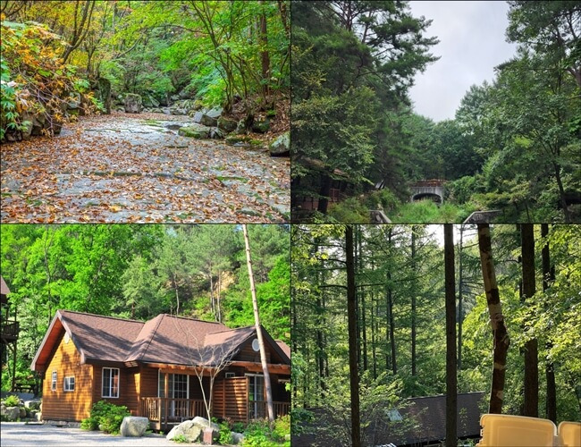 춘천 가볼만한곳 용화산 자연휴양림