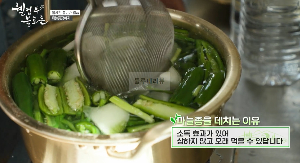 웰컴투 불로촌 마늘종장아찌 레시피 만들기 5 ywAAAAAAQABAAACAUwAOw==